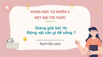 Giảng bài 16: Động vật cần gì đề sống ?  | Bài giảng KHTN 4 kết nối tri thức