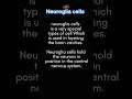 Neuroglia cell | neuroglia cells in hindi | #shorts #Maanav_Shareer | neuroglial cells