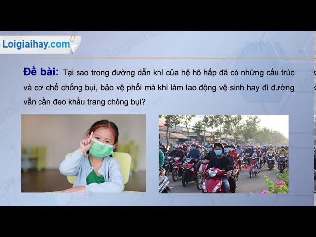 4. Các Chức Năng Phụ Trợ Của Hệ Hô Hấp