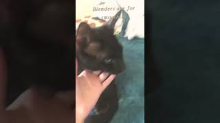 𝑾𝒉𝒚 𝒘𝒐𝒖𝒍𝒅 𝒂𝒏𝒚𝒃𝒐𝒅𝒚 𝒅𝒐 𝒔𝒖𝒄𝒉 𝒂 𝒕𝒉𝒊𝒏𝒈 ?😭 Net Worth