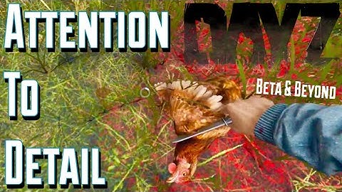 Attention to Detail in DayZ .63, Beta, and Beyond!
