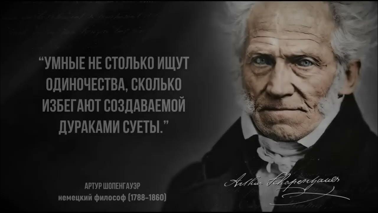 Артур Шопенгауэр арт