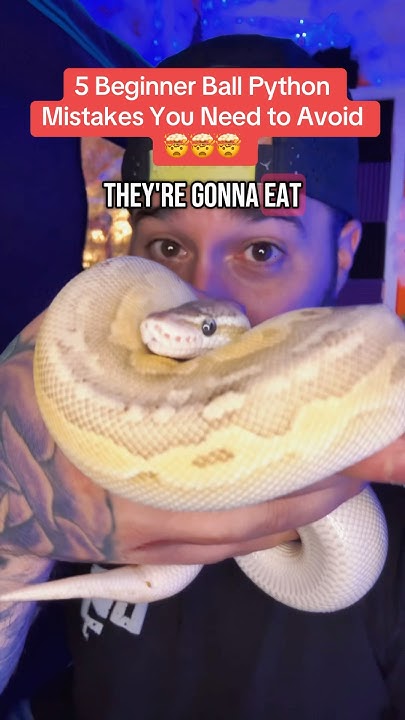5 MISTAKES to Avoid as a Beginner Ball Python Keeper! MUST WATCH! - YouTube