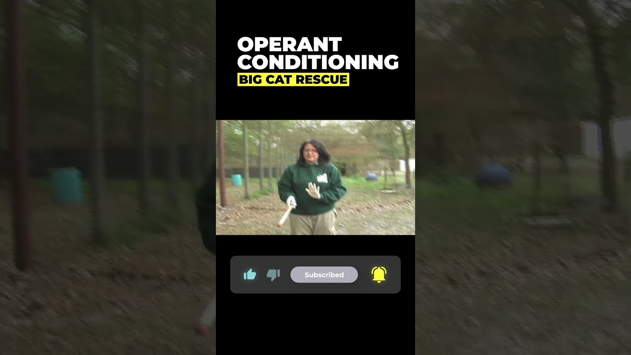 Operant Conditioning~part 15 of 15