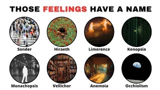 Every Emotion You Cant Describe, Explained