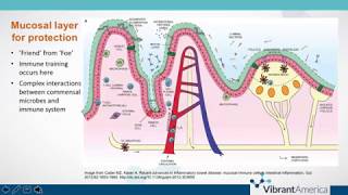 Wheat Zoomer Module 2