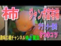 【柿　ジャンボ富有柿】プランター栽培　8つのコツ　24/3/18