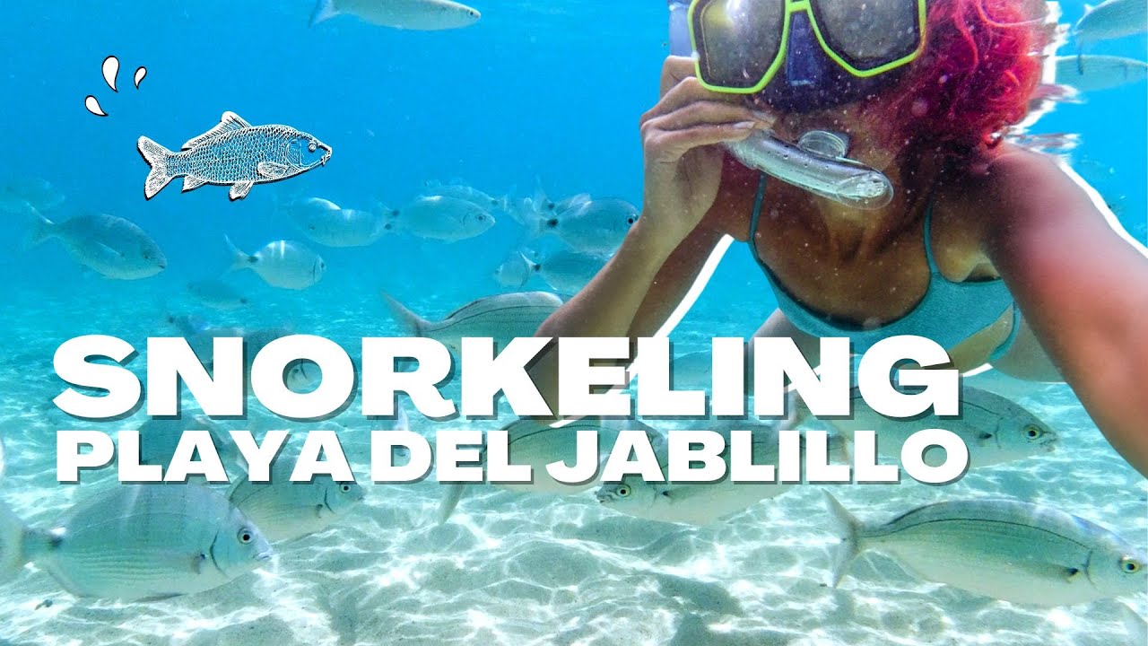 SNORKELING PLAYA DEL JABLILLO | VIVE LES CANARIES - YouTube