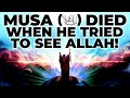 THIS WILL MAKE YOU FALL IN LOVE WITH ALLAH!