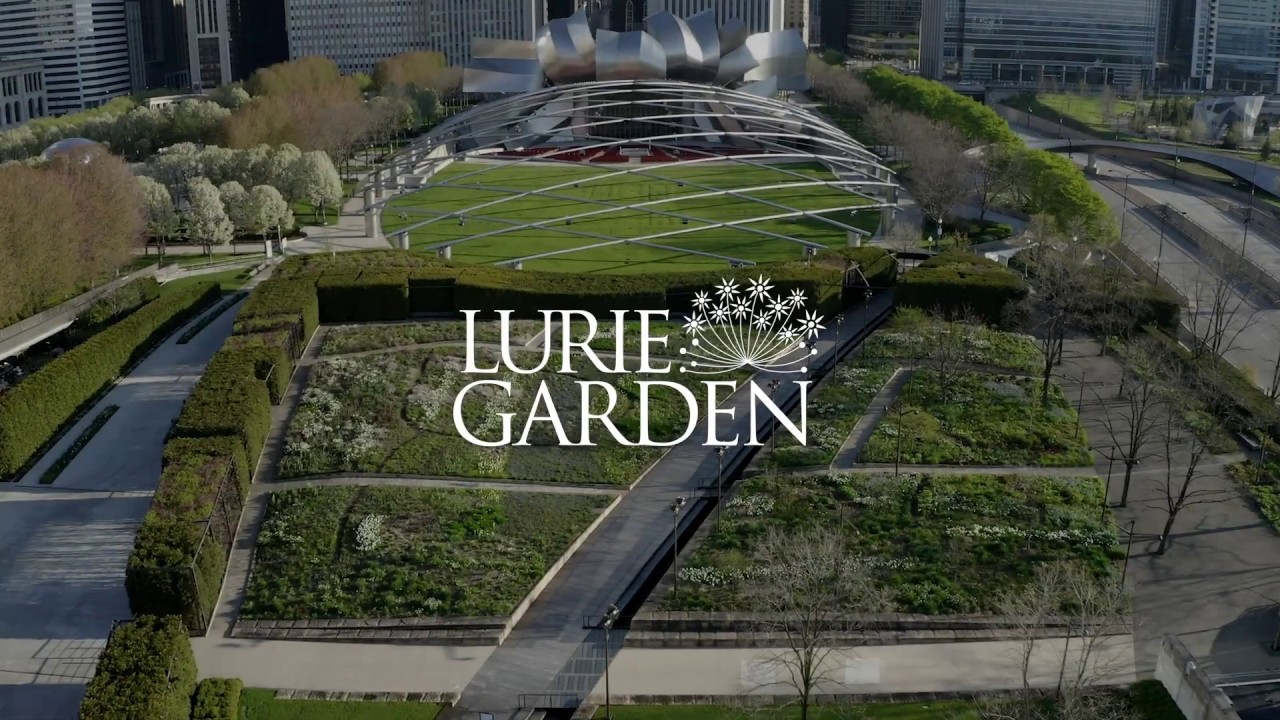 About Lurie Garden