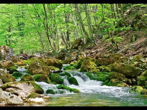 running brook