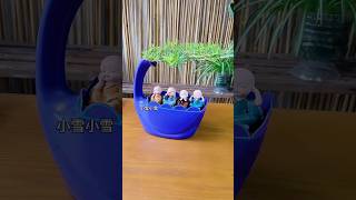 Tips apply fertilizer portulaca flowers grow in plastic bottles #shorts #diy #flowers #plants