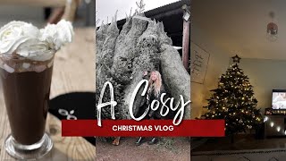 a cosy christmassy vlog (christmas tree farm and putting up our decorations)