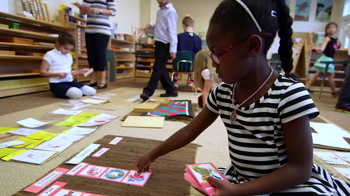 Montessori: The Elementary Years