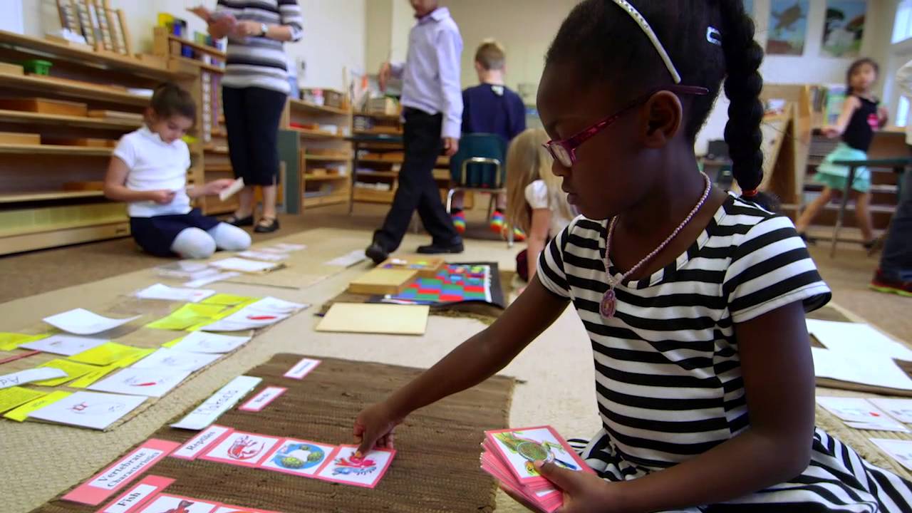 Montessori The Elementary Years YouTube