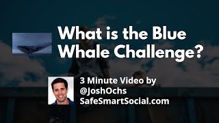 What is the Blue Whale Challenge? Parent App Guide