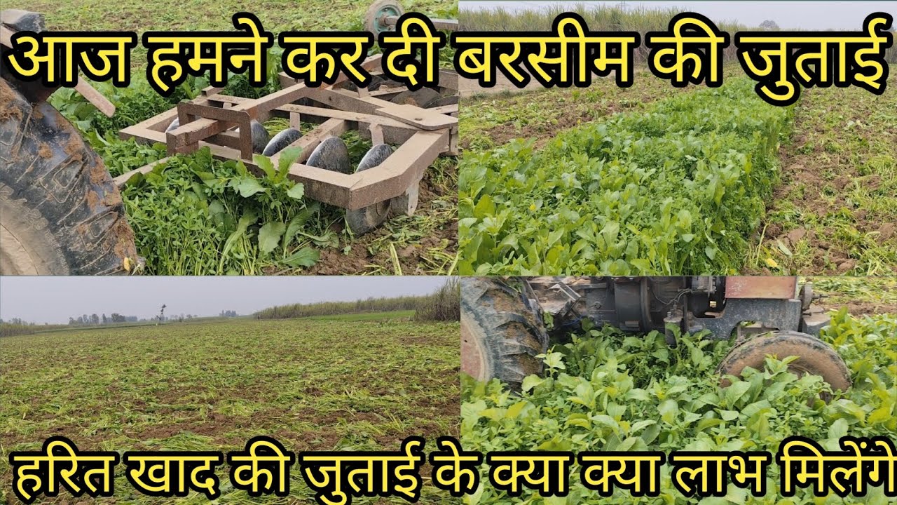 किसान भाइयों 100प्लस उत्पादन के लिए किसान को क्या क्या कार्य समय पर जरूर करने चाहिए#हरितखाद के फायदे