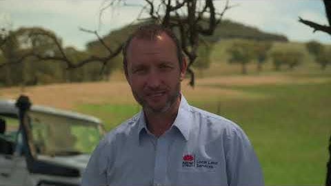 I reckon I can do this by myself - Dealing with bare areas on my property