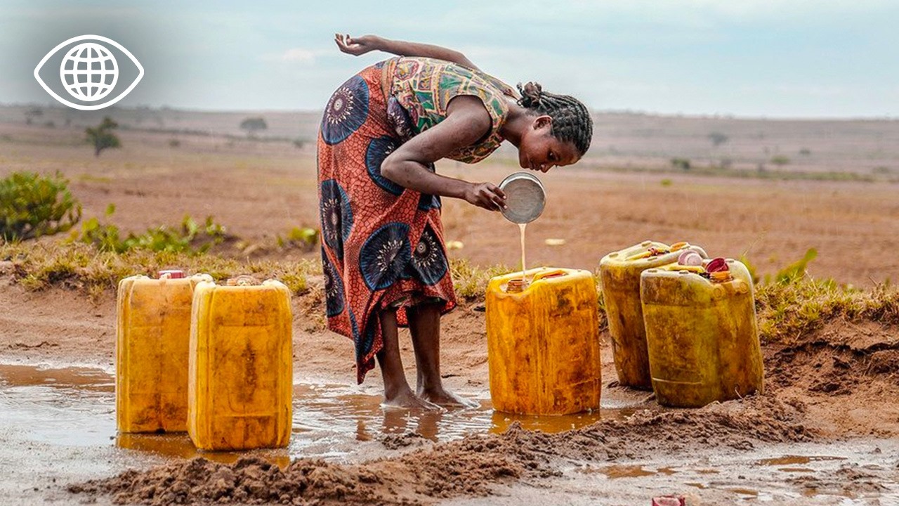 Вырубка лесов, истощение земель, недоедание: тревожный сигнал Мадагаскара – документальный фильм AMP
