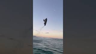 The Next Frontier of Moto Adventures: At Sea