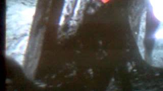 VID_20120505_055348.3gp