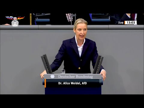 Алис Вайдель: Вы ненавидите Германию и поэтому делаете всё, чтобы её разрушить!