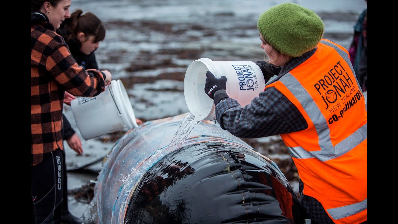 Shine a Light featuring Project Jonah