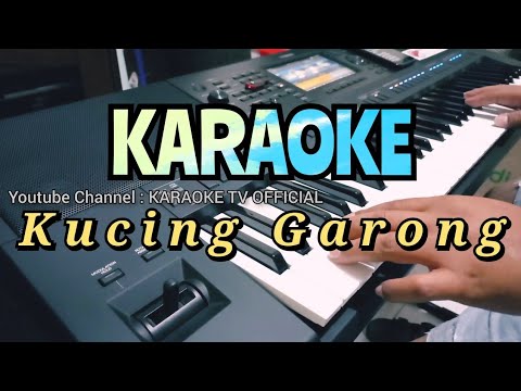 KUCING GARONG Dede S Karaoke Dangdut Koplo PSR SX700