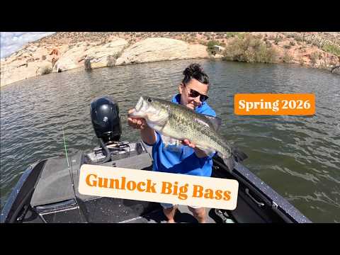 Gunlock Big Bass – Catching big bass is so FUN!!! – April 2026