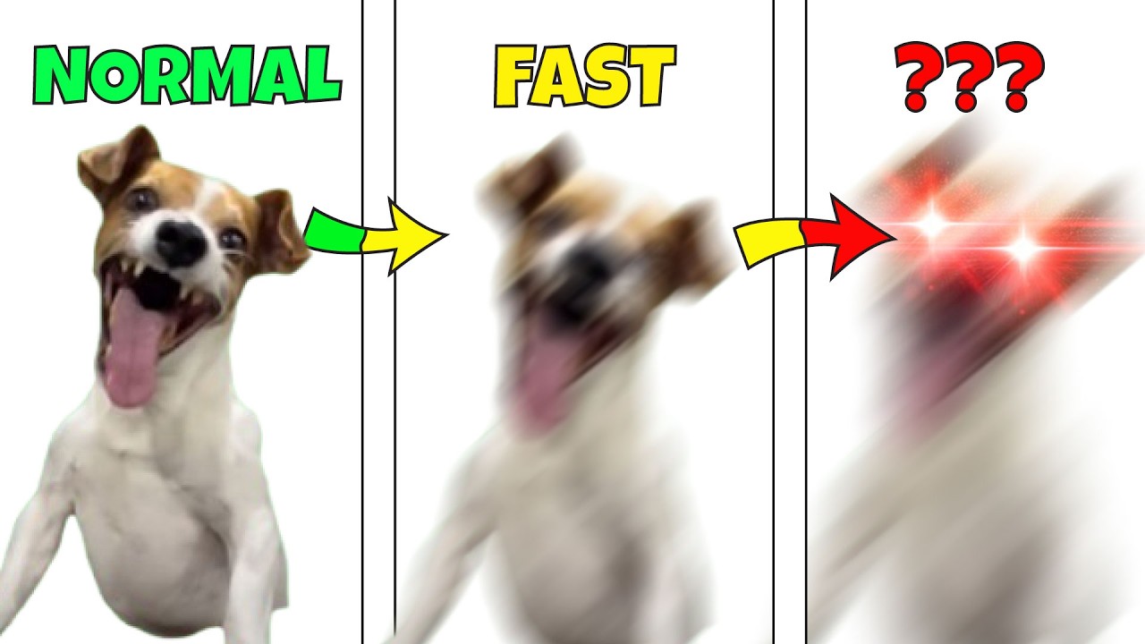 laughing dog but 999x speed