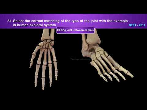 Neet Prev Q&a_chp_locomotion And Movement Part 02 #neet #quiz