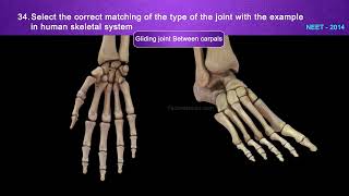 Neet Prev Q&a_chp_locomotion And Movement Part 02 #neet #quiz