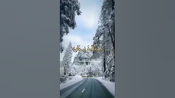 تلاوة عطرة🌺للقاري الشيخ سعد الغامدي من سورة آل عمران ﴿191﴾أيات واتس ✍️❤️💯🍒