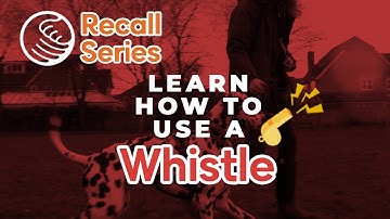 How to Use a Whistle for Recall📣🐕 THE RECALL SERIES