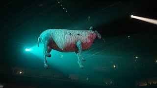 Roger Waters - Another Brick in the Wall - Live in Arena Monterrey