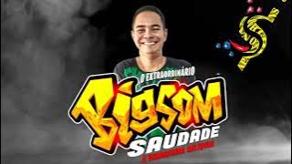 CD=BIG SOM SAUDADE DJ PATRÍCIO DO COMÉRCIO  EM BARCARENA-PÁ ESPAÇO DA SAUDADE