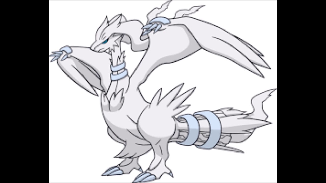 Considering To Do Reshiram For A Fursuit Or Mascot Cosplay