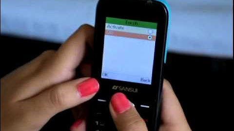 Sansui S221 Dual SIM Mobile Phone