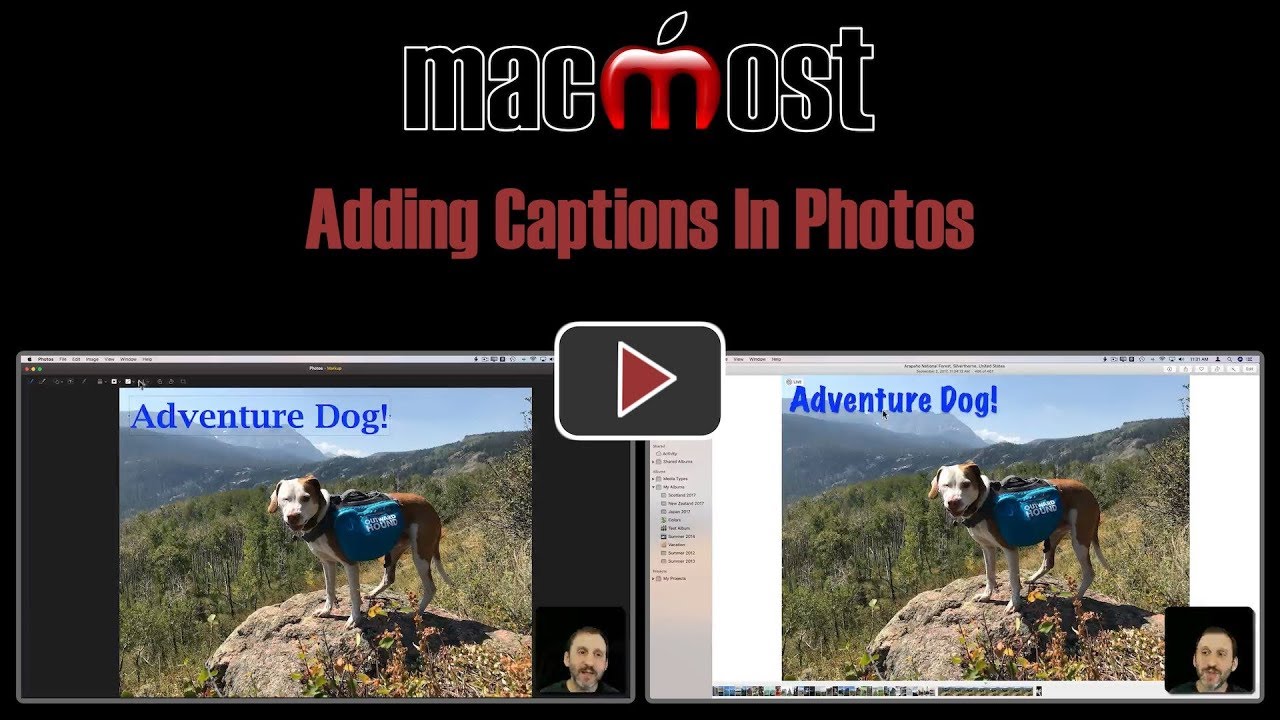 adding captions to photos adding captions to photos