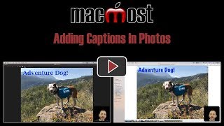 Adding Captions In Photos (MacMost #1778) screenshot 4