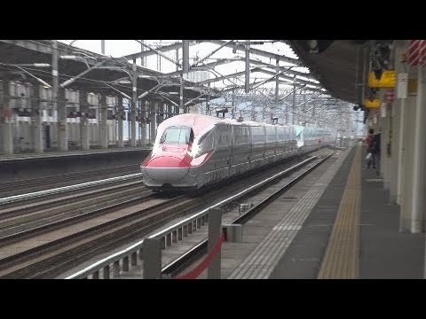 東北新幹線　高速通過　福島駅　こまち　はやぶさ