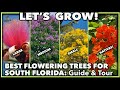 Best flowering trees for florida gardens
