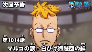 ONE PIECE　第1014話予告「マルコの涙！白ひげ海賊団の絆」