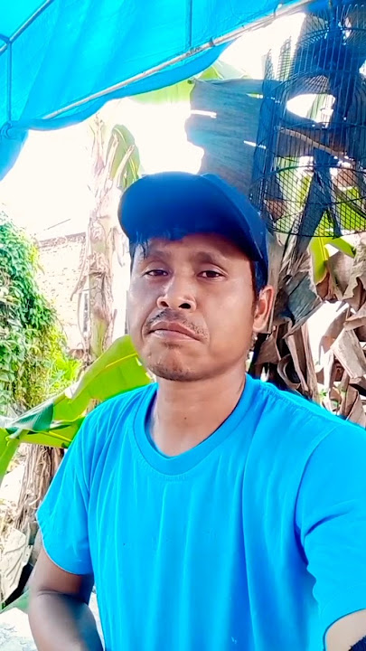 montor opo sing gase nok buri #dagelanjowo #hiburanlucu #dagelanhumor
