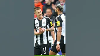 Tiền đạo tỏa sáng, Newcastle giành 3 điểm trước  Tottenham Hotspur thumbnail