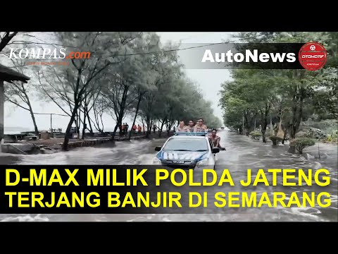 Isuzu D-max Polda Jateng Terjang Banjir Setinggi Kap Mesin di Marina