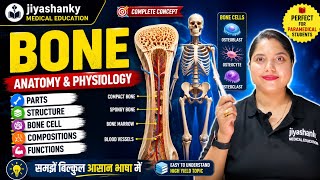 Bone Anatomy & Physiology | Bone cells | Compositions | Types | Structure | Functions