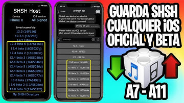 TUTORIAL ✅ Guarda los SHSH iOS beta y oficiales en CUALQUIER DISPOSITIVO (A7 - A13)