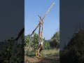 Rural Invention Bamboo and Hydraulic Lever Device, New Choice for Orchard Bird Protection
