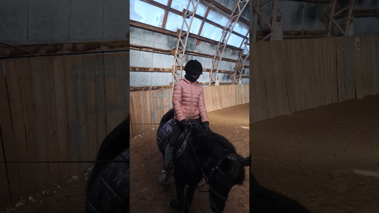 Даша и Наоми, петля на галопе в манеже.